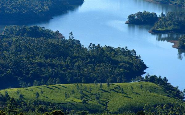 Munnar Dreams Hotel Ngoại thất bức ảnh